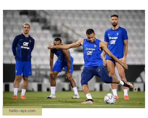 世界杯球队深度解析与胜负关键因素全面剖析